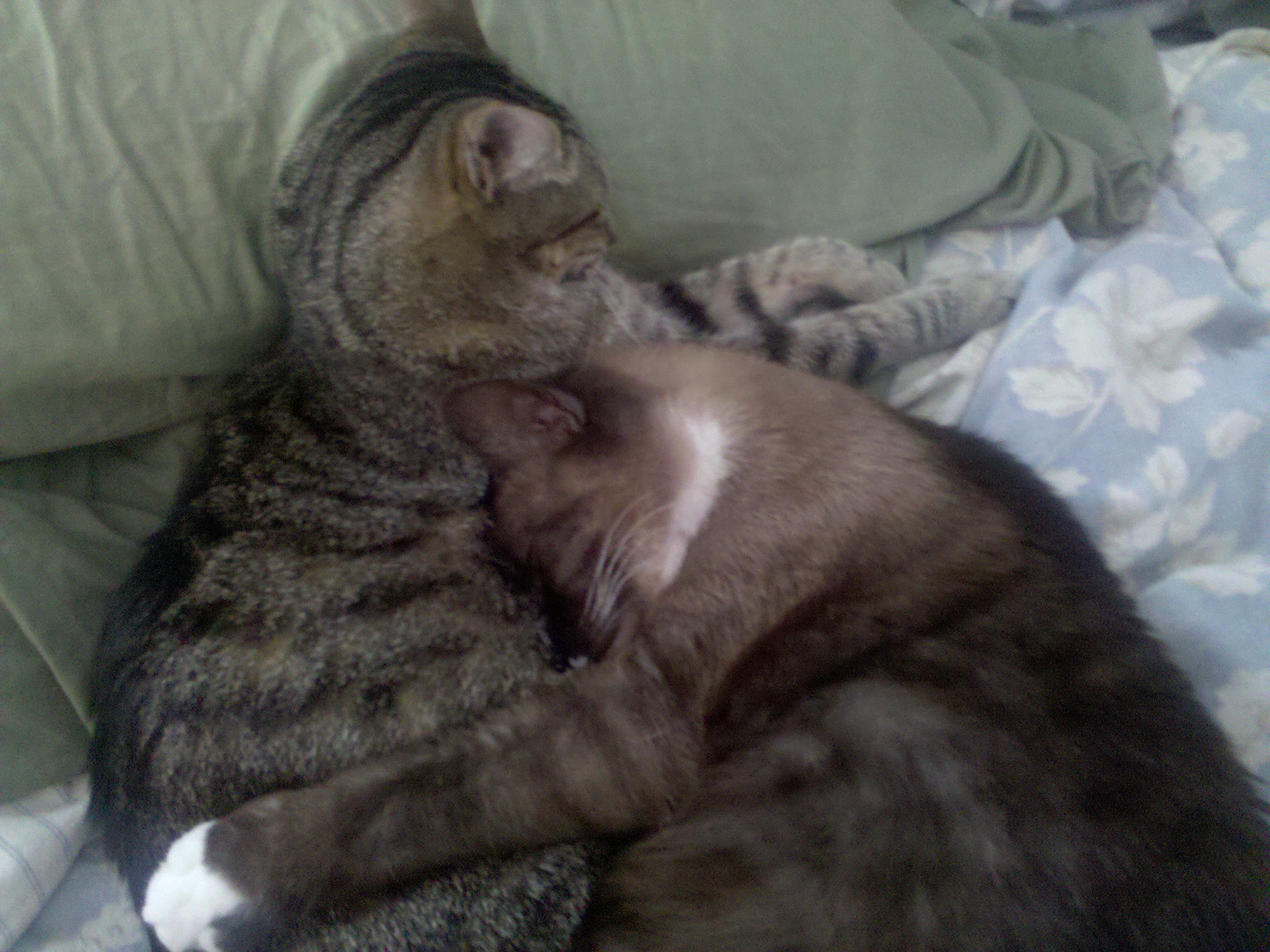 Image posted by MobyPicture.com