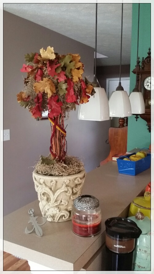 20141025_092917.jpg image